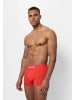 SNOCKS Boxershorts aus Bio-Baumwolle in Hibiscus