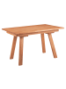58 aufm Kessel ESSZIMMERTISCH ausziehbar Davilla 125x85x75 Massivholz Kernbuche