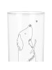 Mr. & Mrs. Panda Wasserglas Hund Liebe mit Spruch in Transparent