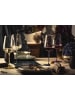 Eisch 2er Set Allroundgläser Inspire SensisPlus 400 ml in Grey