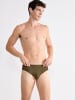 Sloggi Slip Briefs in BEECH
