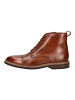 Clarks Stiefelette in Braun