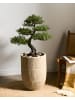 Beliani Outdoor Blumentopf POROS in Beige - (W) 36 x (H) 50 x (L) 36 cm