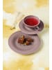 Seltmann Weiden 18er Set Teeservice Beat Color Glaze in Altrosa
