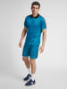 Hummel Hummel Polo Hmlauthentic Multisport Herren Atmungsaktiv Schnelltrocknend in CELESTIAL