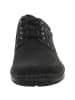 Josef Seibel Schnürschuhe in schwarz