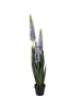 Home&Styling Collection Künstliche Lupine in mehrfarben