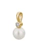 Lyomi 585/- Gold in gelb