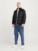 JACK & JONES PLUS Steppjacke in Black