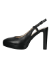 Nero Giardini Pumps in Schwarz