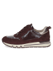 Caprice Schnürschuhe in bordeaux comb