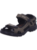 Ecco Outdoorsandalen Offroad in tarmac