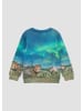s.Oliver Sweatshirt  in  00D1_neon