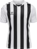 Hummel Trikot S/S Hmlcore Xk Striped Jersey S/S in WHITE/BLACK