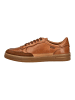 Pikolinos Sneaker Brandy