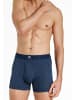 Haasis Bodywear 2er-Set: Pants in Maritim