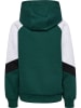 Hummel Kapuzenpullover Raglanärmel Hmljr Loose Kinder in JUNE BUG
