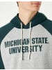 Champion Hoodie für Herren in Bunt
