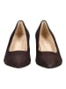 Gabor Pumps in Mocca