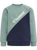 Hummel Hummel Sweatshirt Raglanärmel Hmlsportive Mädchen in BLACK IRIS