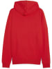 Puma Hoodie "TeamGoal CasuaLongsleeve Hooded Jacket" in Rot