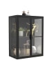 ebuy24 Vitrinenschrank FlokasVM Türen Schwarz 60 x 35 cm