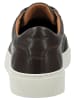 GANT Footwear Sneaker in Dunkelbraun