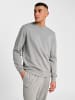 Hummel Hummel Sweatshirt Hmlpulse Herren in GREY MELANGE