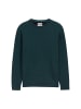 Tom Tailor Pullover STRUCTURED CREWNECK KNIT in Grün