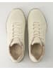 Skechers Sneaker low in Beige
