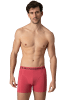 Muchachomalo 12er-Set: Boxershort in Mehrfarbig - für Herren