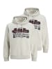 Jack & Jones Sweatshirt / Hoodie Logo in Hellgrau melange