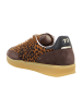 Sun68 Sneaker Low in Animal