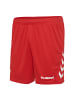 Hummel T-Shirt & Shorts SET Rundhalsausschnitt elastischer Bund in Rot