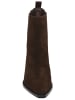 Steve Madden Stiefelette MELLE in Braun