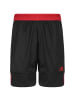 adidas Performance Trainingsshorts 3G Speed Reversible in schwarz / rot