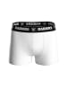 NFL Boxershort 6er Pack in Las Vegas Raiders/Schwarz