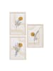 ebuy24 Rahmenset Josefine Natur 30 x 21 cm