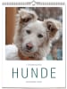 ars vivendi Kalender - Literarischer Hunde - Kalender 2026