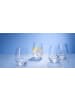 Villeroy & Boch 16-tlg. Gläser Set Ovid in in transparent