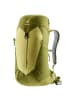 Deuter AC Lite 16 - Wanderrucksack 56 cm in linden-cactus