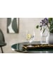 Villeroy & Boch 12er Set Wasserkelche La Divina in Transparent 330 ml in transparent