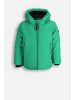 Coccodrillo Winterjacke in grün