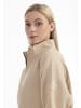 DreiMaster Maritim Sweatshirt-Troyer in Beige