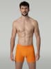 Muchachomalo 7er-Set: Boxershort in Mehrfarbig - für Herren