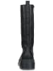 Steve Madden Stiefel in Schwarz