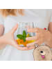 Mr. & Mrs. Panda Whiskyglas Rotkehlchen Federn mit Spruch in Transparent