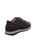 Finn Comfort Sneaker Low in braun
