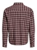 JACK & JONES PLUS Hemd in Chocolate Truffle