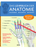 Bielo Buch - Das Lehrbuch der Anatomie